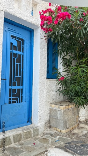 Fototapeta Naklejka Na Ścianę i Meble -  Scenic street in Alonnisos island, Greece, with traditional stone pathways, whitewashed houses, colorful wooden doors, and blooming bougainvillea. Peaceful Mediterranean atmosphere, narrow alleys with