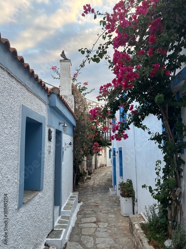 Fototapeta Naklejka Na Ścianę i Meble -  Scenic street in Alonnisos island, Greece, with traditional stone pathways, whitewashed houses, colorful wooden doors, and blooming bougainvillea. Peaceful Mediterranean atmosphere, narrow alleys with