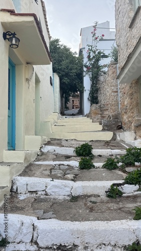 Fototapeta Naklejka Na Ścianę i Meble -  Scenic street in Alonnisos island, Greece, with traditional stone pathways, whitewashed houses, colorful wooden doors, and blooming bougainvillea. Peaceful Mediterranean atmosphere, narrow alleys with