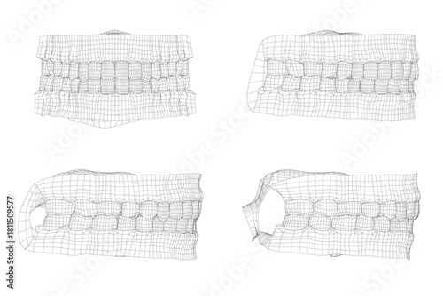 Human teeth wireframe with four distinct types in symmetrical arrangement, each displaying unique shape, size, and intricate texture patterns on a clean white background.