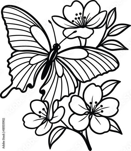 A delicate butterfly resting amongst blossoming cherry flowers outlined in black ink