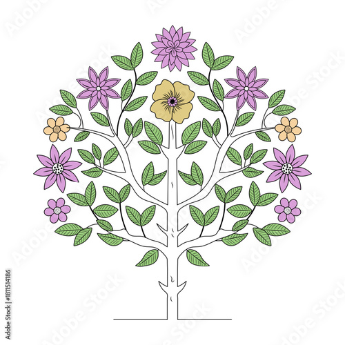 A vintage style illustration depicting jade plant