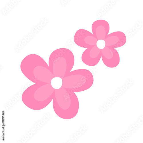 pink flower on white background