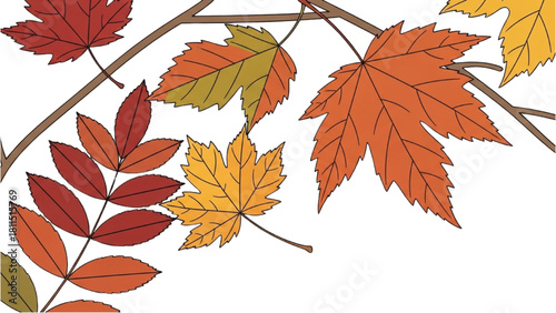 A beautiful collection of colorful autumn leaves like maple and rowan on tree branches
