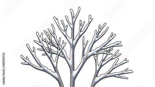 Snow-Covered Winter Tree Branches A Simple Minimalist Illustration
