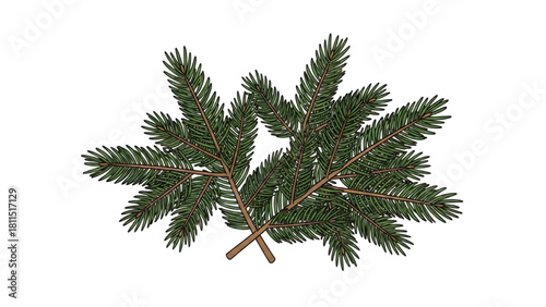 Sprigs of Evergreen Freshly Cut Pine Branches for Winter Decor