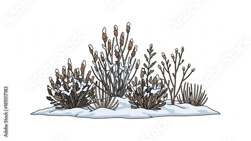 Wintery Bushes and Vegetation in the Snow A Cold Season Illustration