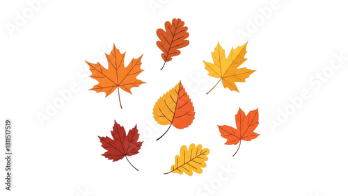 Colorful autumn leaf collection featuring maple, oak, and other foliage designs