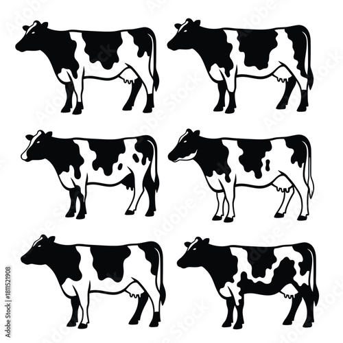 Collection of black and white holstein friesian cow silhouettes standing on a white background, isolated vector. isolated on white background, Vector, illustration