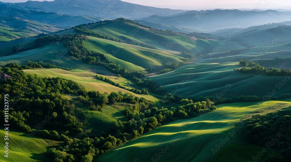 Naklejka premium Vibrant green hills and valleys at sunrise in a peaceful countryside landscape