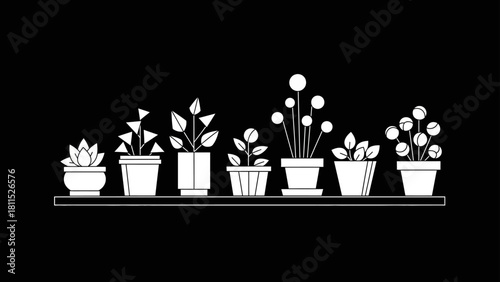 Minimalist Houseplants in Pots on a Shelf Against Black Background