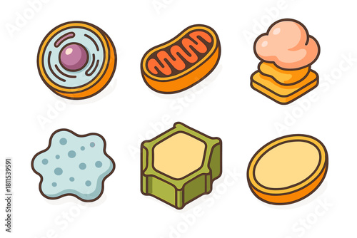 Stylized cartoon cells and organelles illustrating basic biology concepts