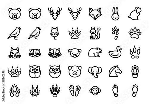Minimalist line icon set of animal heads and footprints. Includes wildlife like bears and foxes with their corresponding paw tracks for design, ejrhknoy (72).eps