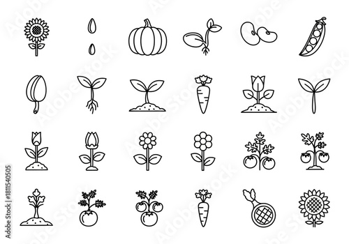 Agriculture and gardening line icon collection showing the life cycle of plants from seed to harvest. Vector symbols of sunflower, tomato, carrot, and sprout development