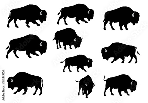 Silhouette of Buffalo Herd in the Wild Black Buffalo Outlines