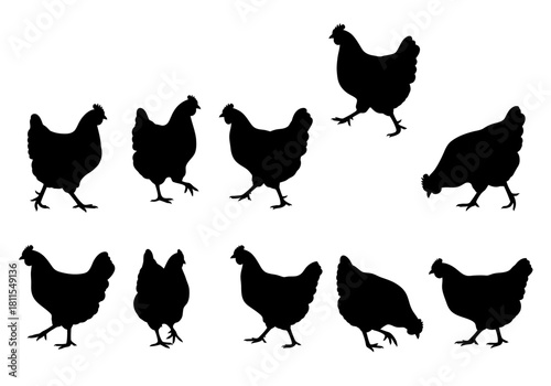 A Flock of Chickens Silhouette Illustration for Design and Creative Projects