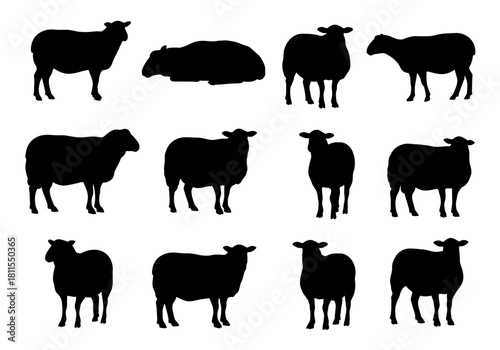 Collection of Sheep Silhouettes in Various Poses