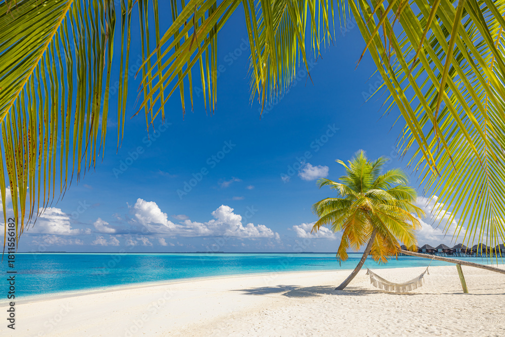 Naklejka premium Majestic tropical beach landscape, ultimate summer vacation destination shore. Amazing palm tree swing relaxing leaves, pristine blue sea, bright sunshine sand sky. Popular Maldives background travel