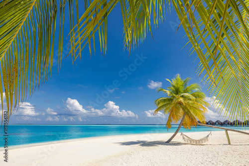 Fototapeta Naklejka Na Ścianę i Meble -  Majestic tropical beach landscape, ultimate summer vacation destination shore. Amazing palm tree swing relaxing leaves, pristine blue sea, bright sunshine sand sky. Popular Maldives background travel
