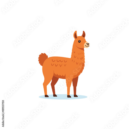 Cartoon llama illustration showcasing a gentle animal with fluffy texture and orange color on