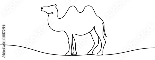 Continuous line drawing of a camel in a clean minimal outline style. Simple elegant contour of the animal, smooth linear form, isolated on transparent background as a vector illustration