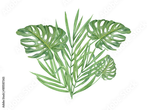 Watercolor green palm and monstera leaves bouquet illustration on isolated background. Hand painted summer tropical foliage. Floral leaf composition for greeting card, invitation.
