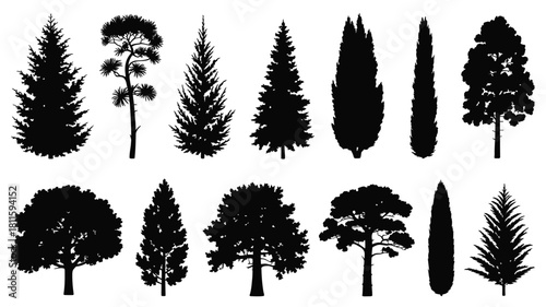 Vector silhouettes of various tree types