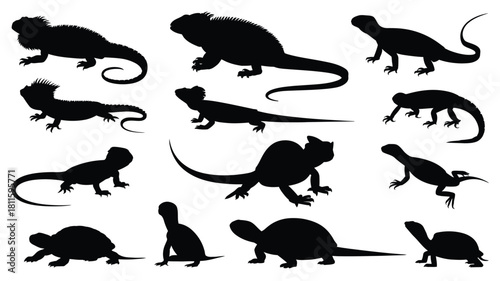 Reptile silhouettes set on white background
