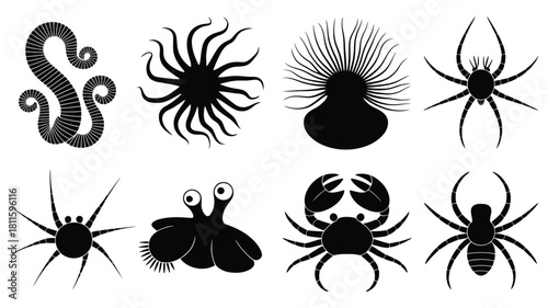 Marine life and arachnid silhouette icons