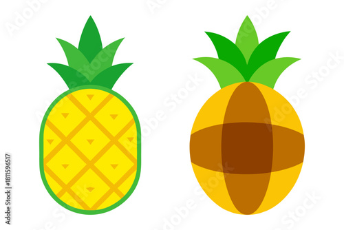 Artistic pineapple vector illustration set