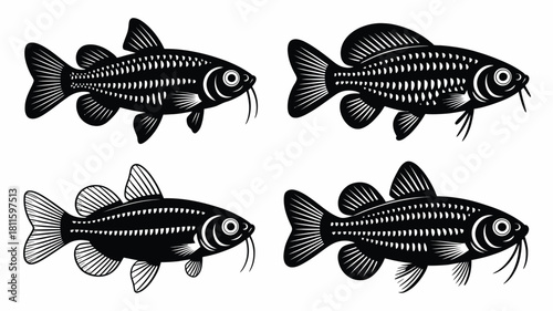 Set of stylized fish vector illustrations