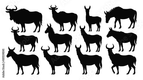 Wild animal silhouettes vector collection