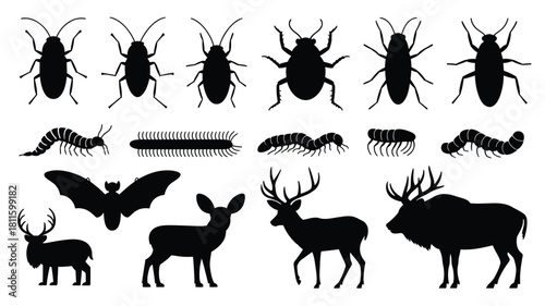 Wildlife and insect silhouette collection