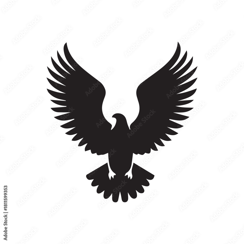 Obraz premium eagle with wings vector