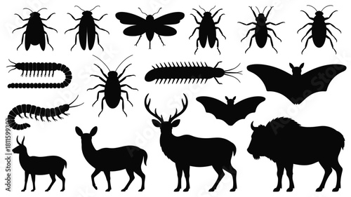 Assortment of creature and bug silhouettes