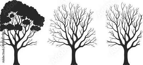 Collection of three black tree silhouettes featuring one with dense foliage and two leafless bare branch trees isolated on white background, nature vector illustration for seasonal landscape design
