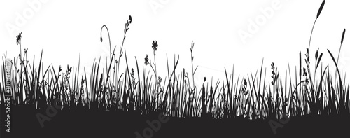 Panoramic black silhouette of tall grass, weeds, and wild flowers isolated on white background, nature vector illustration for summer meadow field design