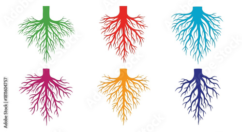 Colorful root systems illustration green red blue purple orange and navy