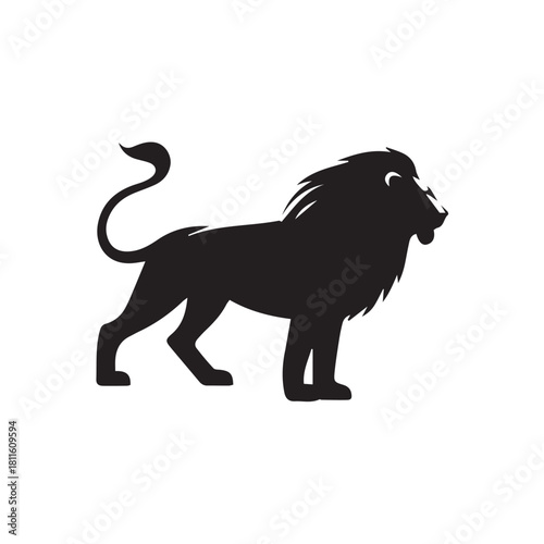 lion black and white vector illustration