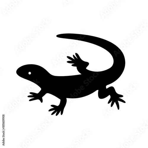 lizard on white background