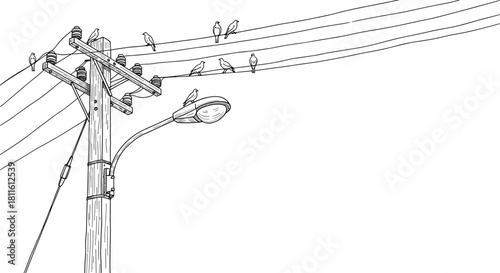 Utility pole, birds, power lines, streetlight, urban wildlife, monochrome drawing, infrastructure, perched birds, line art, electricity, nature, cityscape, illustration, blue tone, insulators