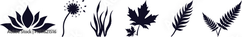 Leaf, Flower and Grass Silhouette Vector Set – Botanical Elements for Nature and Floral Design