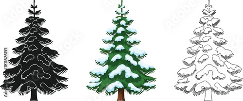Set of three stylized evergreen fir tree illustrations in black, color with snow and outline style
