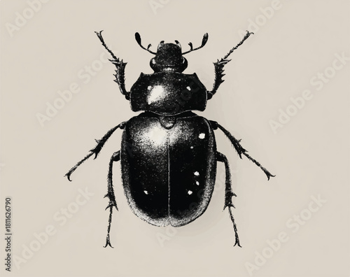 Detailed Drawing of a Scarab Beetle on Light Background Illustration