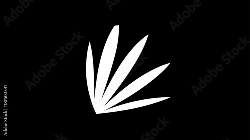 Minimalist white fanned leaves abstract graphic on a solid black background. Modern botanical design element, clean and simple illustration.