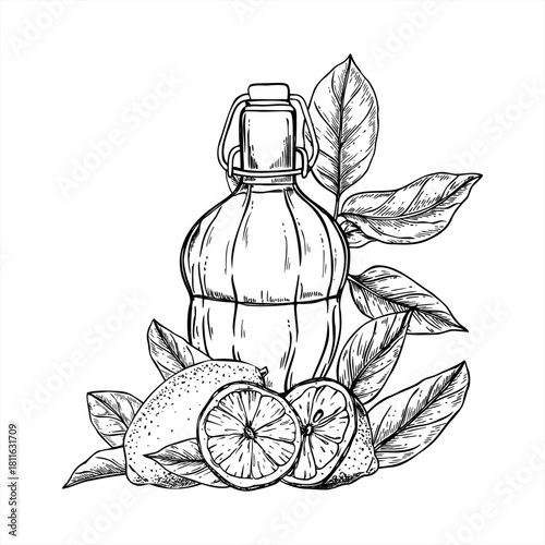 Limoncello or tequila bottle, lime slice with leaves vector line black and white ink illustration. Aperitif drinking set with refreshing sour fruits. For Italian or Mexican alcohol decor, poster