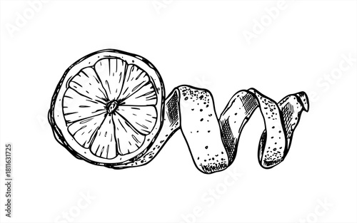 Cross section citrus with spiral peel vector illustration. Lemon or orange pulp and skin in twist shape line art painted by black inks. Monochrome ingredient for beverage packaging, healthy food.