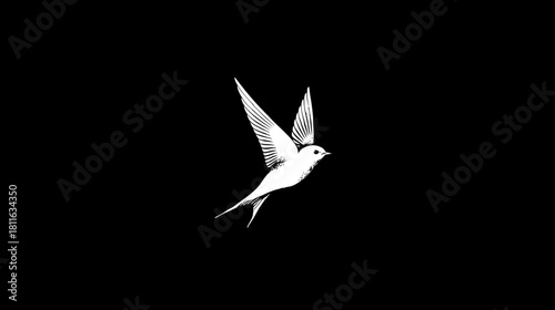 Stylized white bird soaring with outstretched wings on a deep black background, a symbol of freedom, hope, and new beginnings.