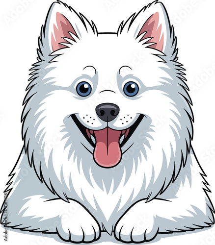 Cute cartoon a illustrator vector American Eskimo Dog