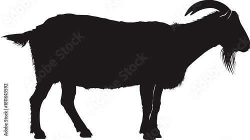 Detailed black silhouette of a standing goat, side view. Isolated vector graphic of a farm animal with horns and beard.